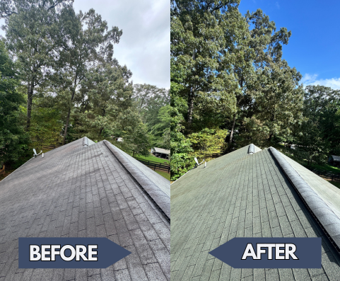 Roof Wash Dacula